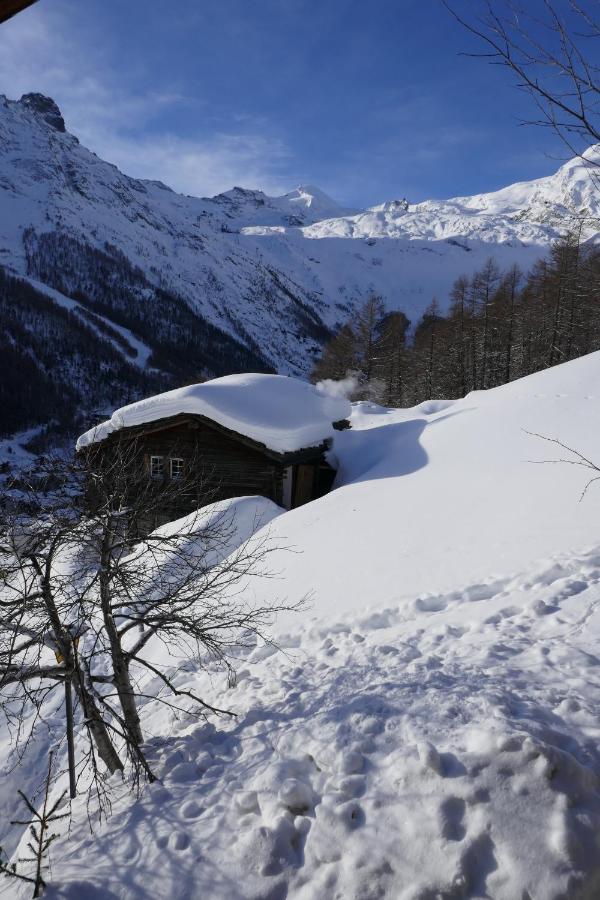 Chalet Birkhahn Saas-Fee Bagian luar foto