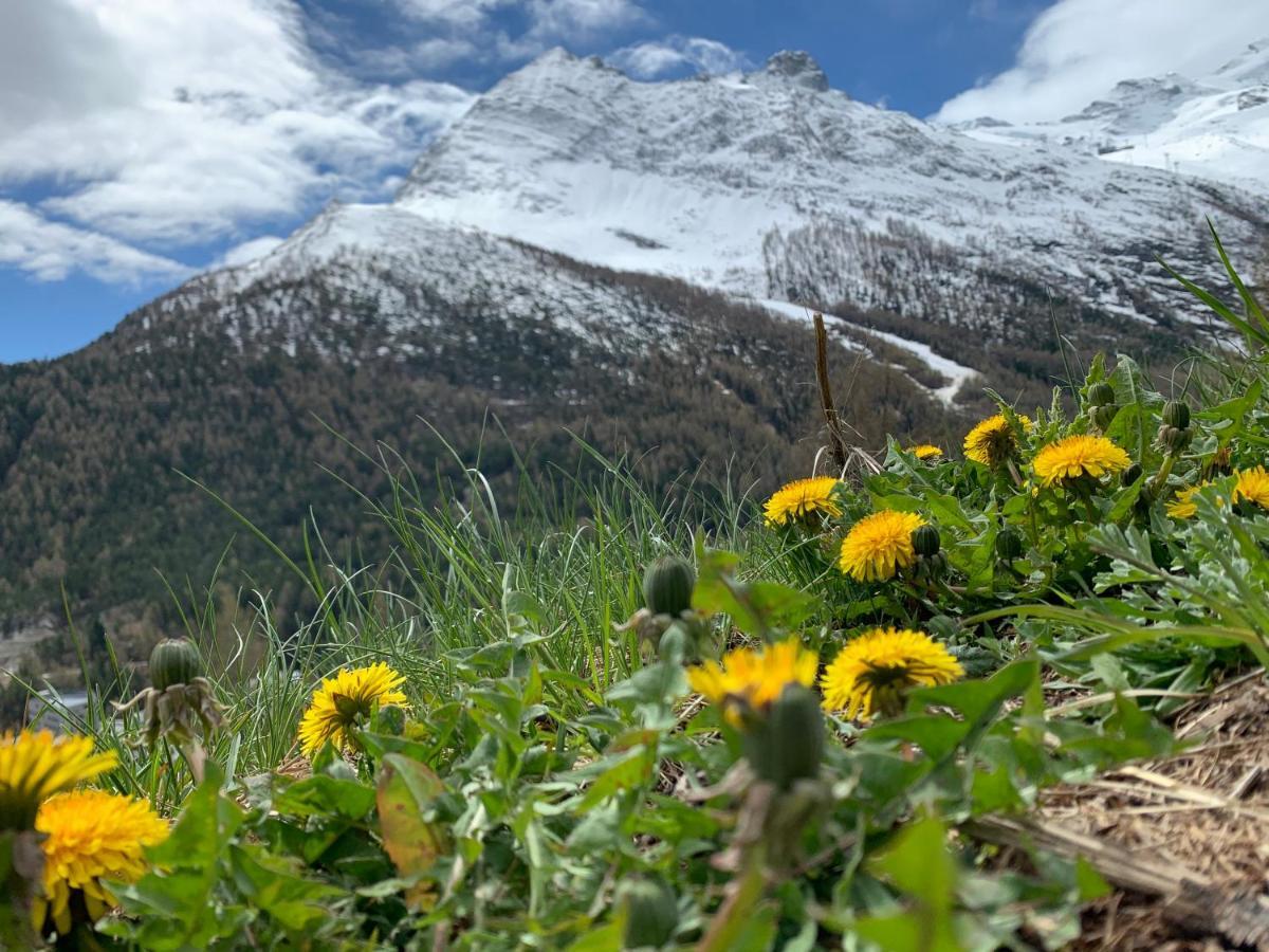 Chalet Birkhahn Saas-Fee Bagian luar foto