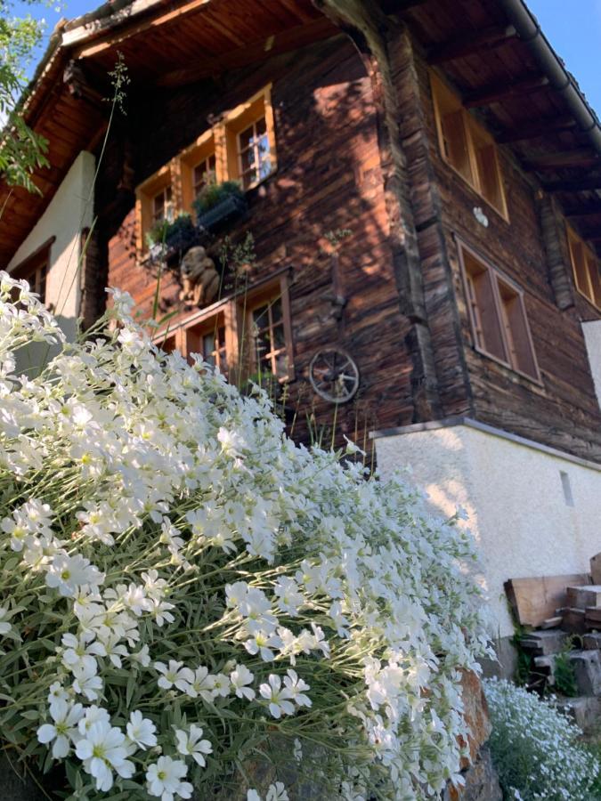 Chalet Birkhahn Saas-Fee Bagian luar foto