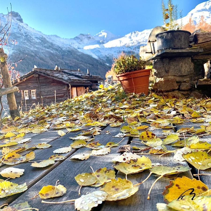 Chalet Birkhahn Saas-Fee Bagian luar foto