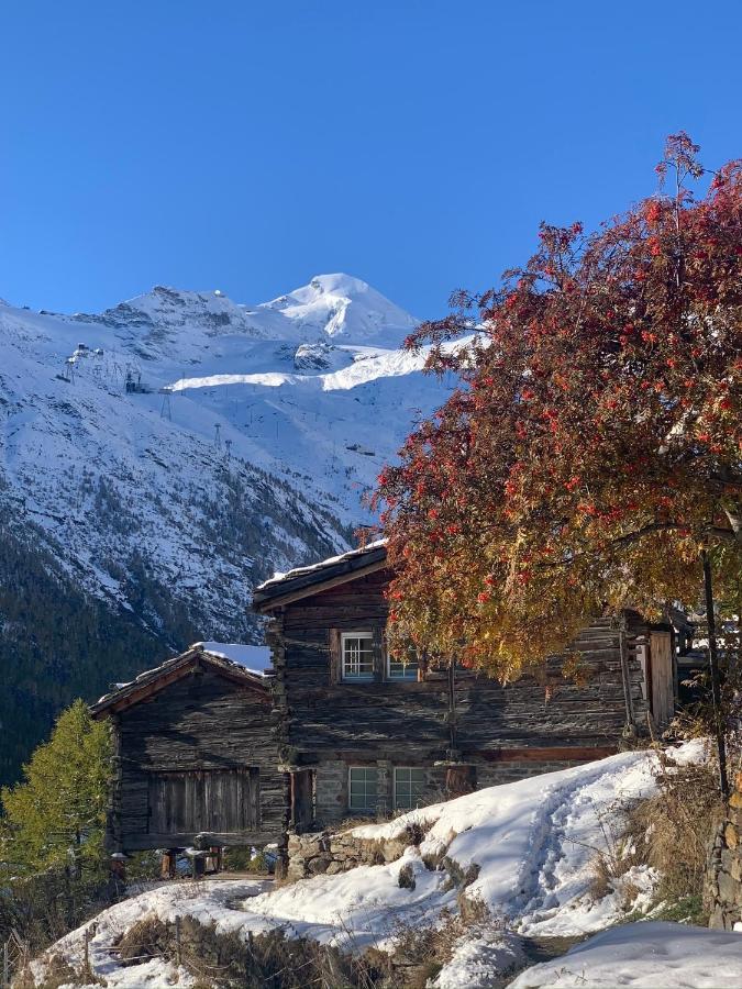 Chalet Birkhahn Saas-Fee Bagian luar foto